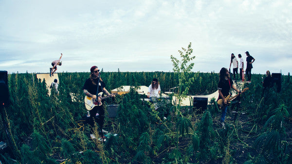 Dune Rats 'Braindead' Music Video