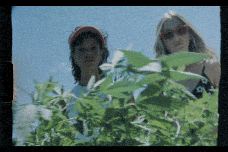 Cannabiso Paradiso: Drop I