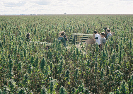 Afends Hemp Revolution x The Green Path - Series