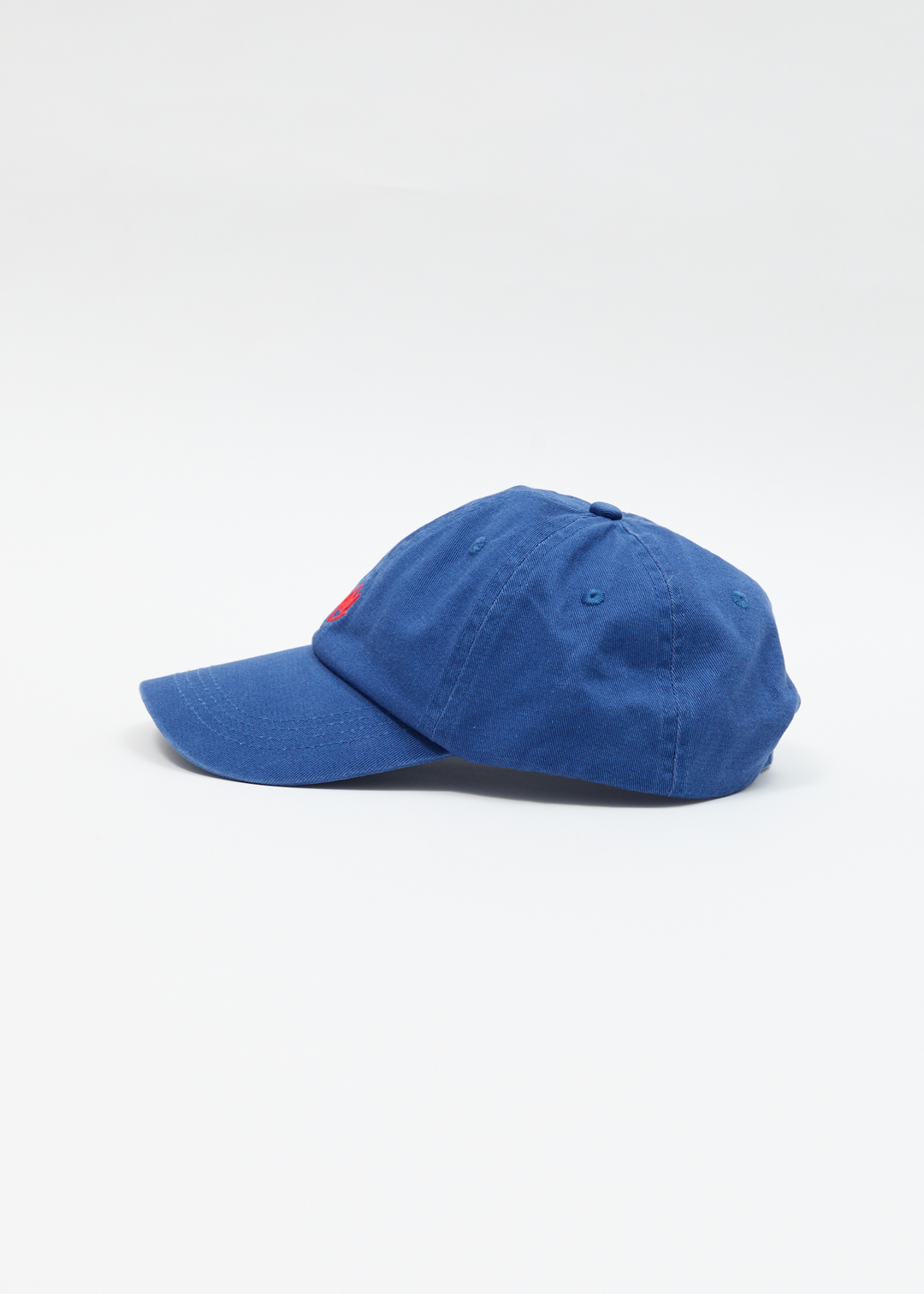 AFENDS Mens Core - Six Panel Cap - Marlin 