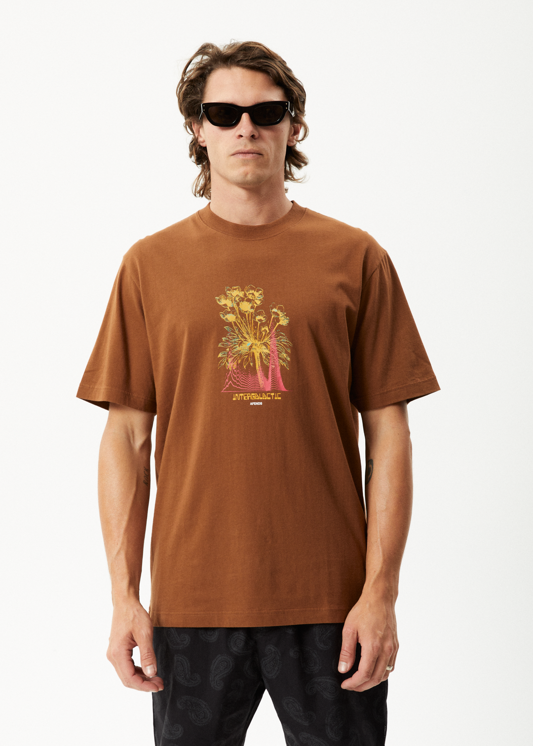 AFENDS Mens Gardener - Retro Graphic T-Shirt - Toffee 