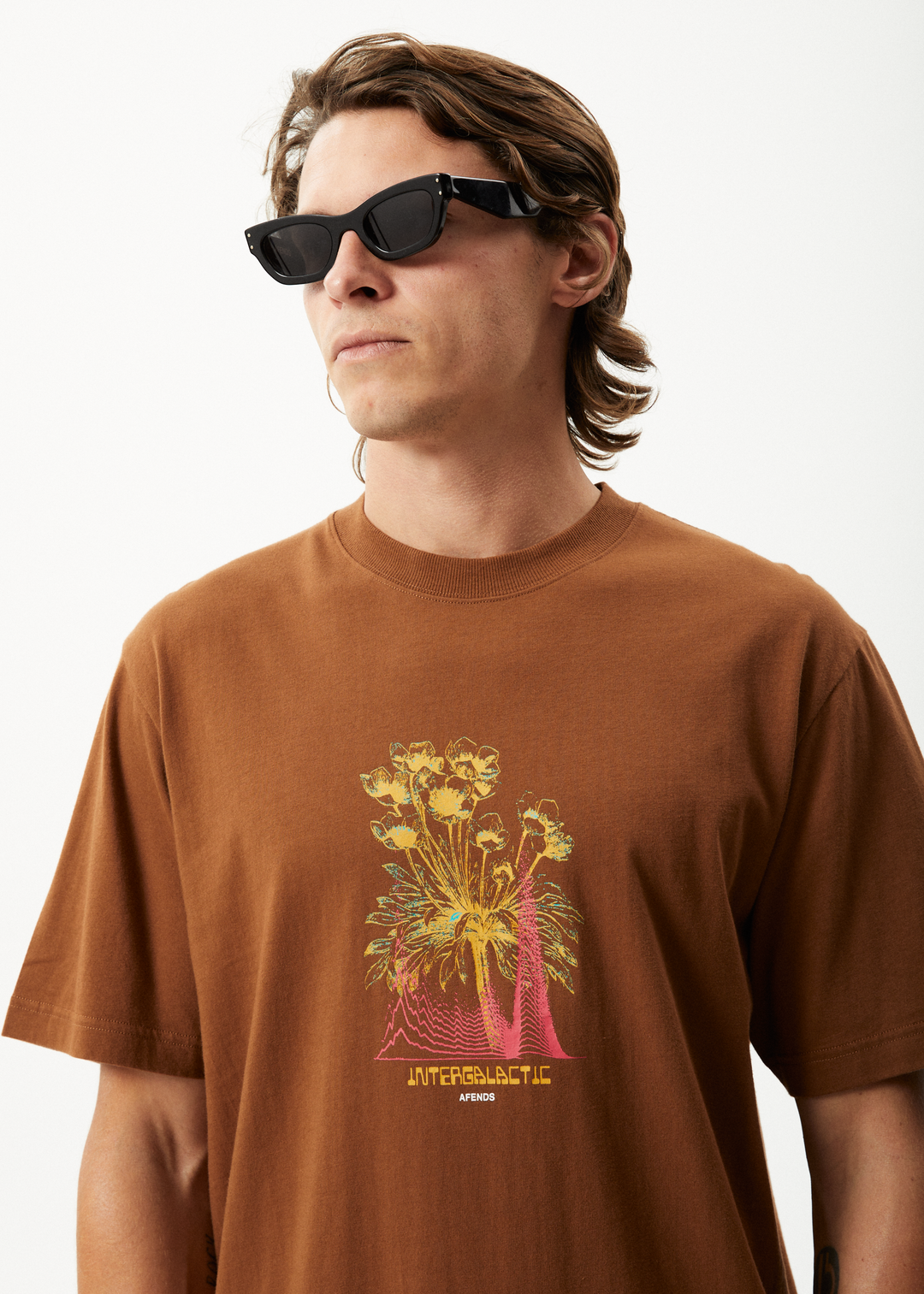 AFENDS Mens Gardener - Retro Graphic T-Shirt - Toffee 