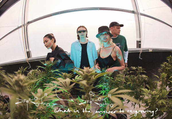 Afends Lookbook - S5-2021 - Growing, Growing, Gone