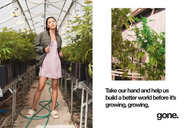 Afends Lookbook - S5-2021 - Growing, Growing, Gone