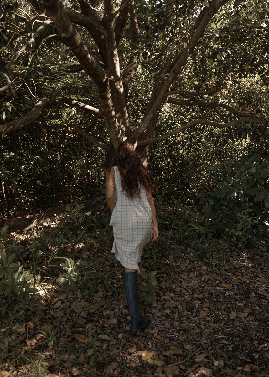 AFENDS Womens Position - Seersucker Midi Dress - Tan Check