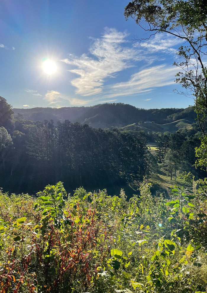 AFENDS Sleepy Hollow Farm 01 About