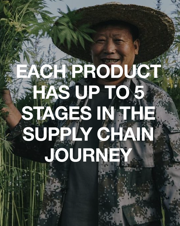 Afends Transparency - Retraced