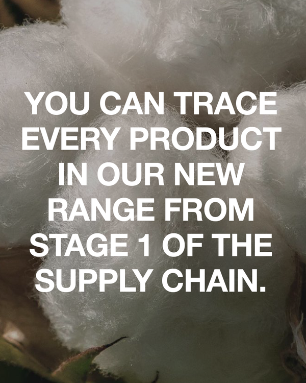 Afends Transparency - Retraced