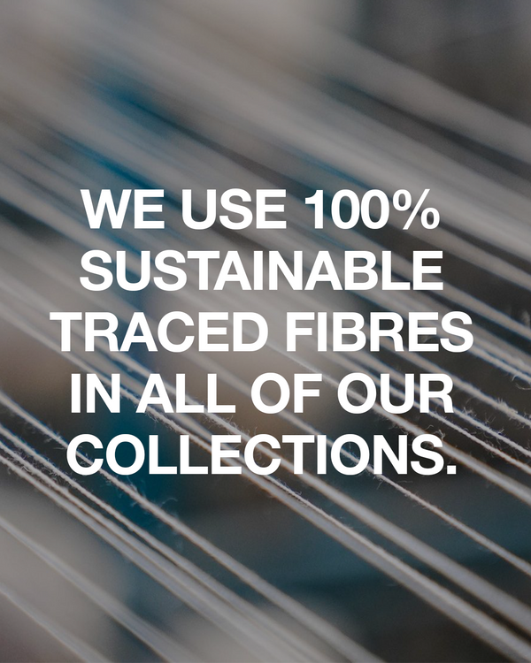 Afends Transparency - Retraced