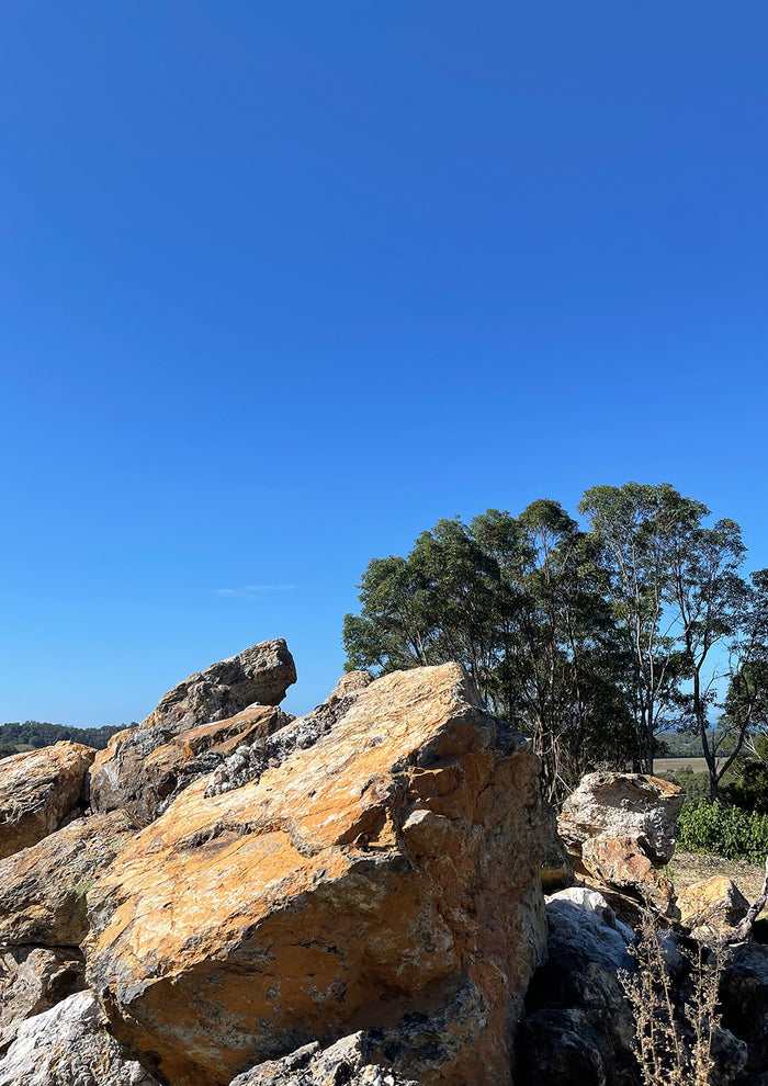 AFENDS Sleepy Hollow Farm 02 Future